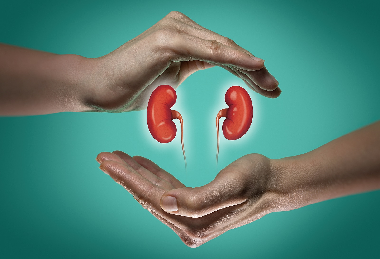 Learn About Kidney Function Problems in Senior Citizens Today